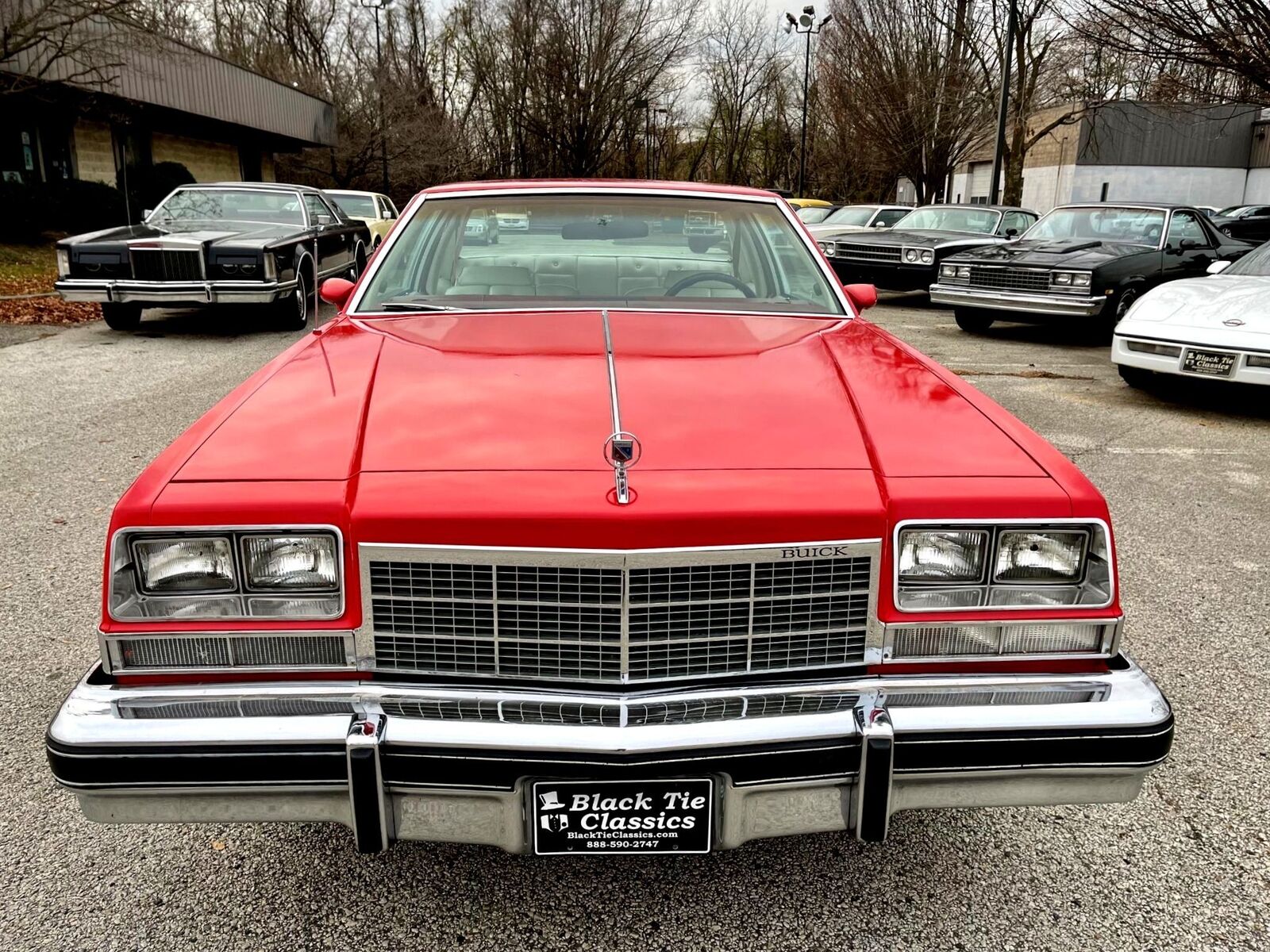 Buick-Electra-1977-8