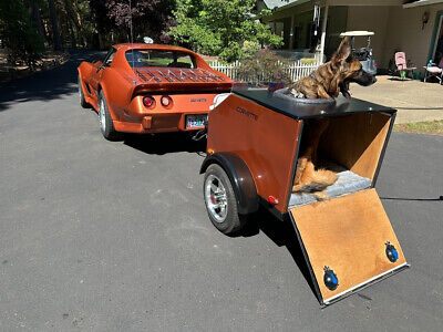 Cadillac-Corvette-Cabriolet-1977-2