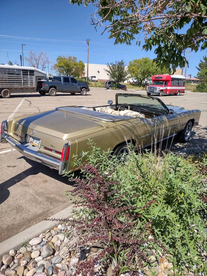 Cadillac-Eldorado-1976-11