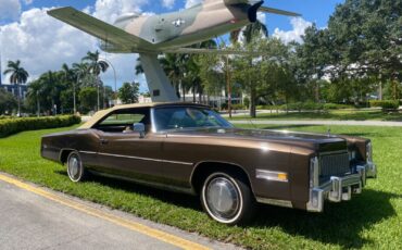 Cadillac-Eldorado-Cabriolet-1976-10