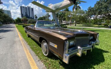 Cadillac-Eldorado-Cabriolet-1976-16