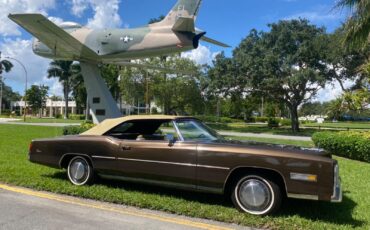 Cadillac-Eldorado-Cabriolet-1976-21