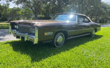 Cadillac-Eldorado-Cabriolet-1976-22