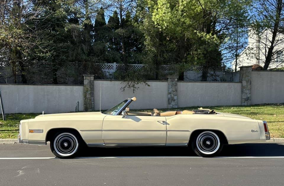 Cadillac-Eldorado-convertible-1976-8