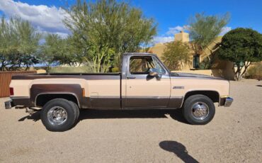 Chevrolet-3500-1984-3