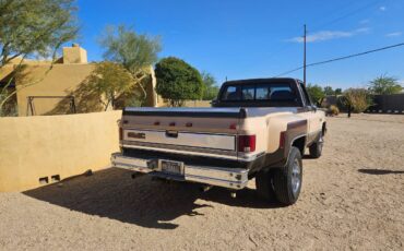 Chevrolet-3500-1984-4