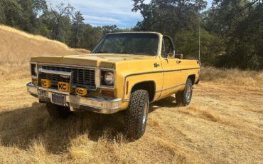 Chevrolet-Blazer-1974-22