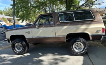 Chevrolet-Blazer-1988-1