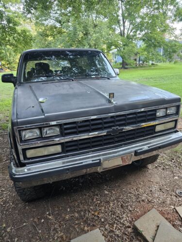 Chevrolet-Blazer-SUV-1991-4