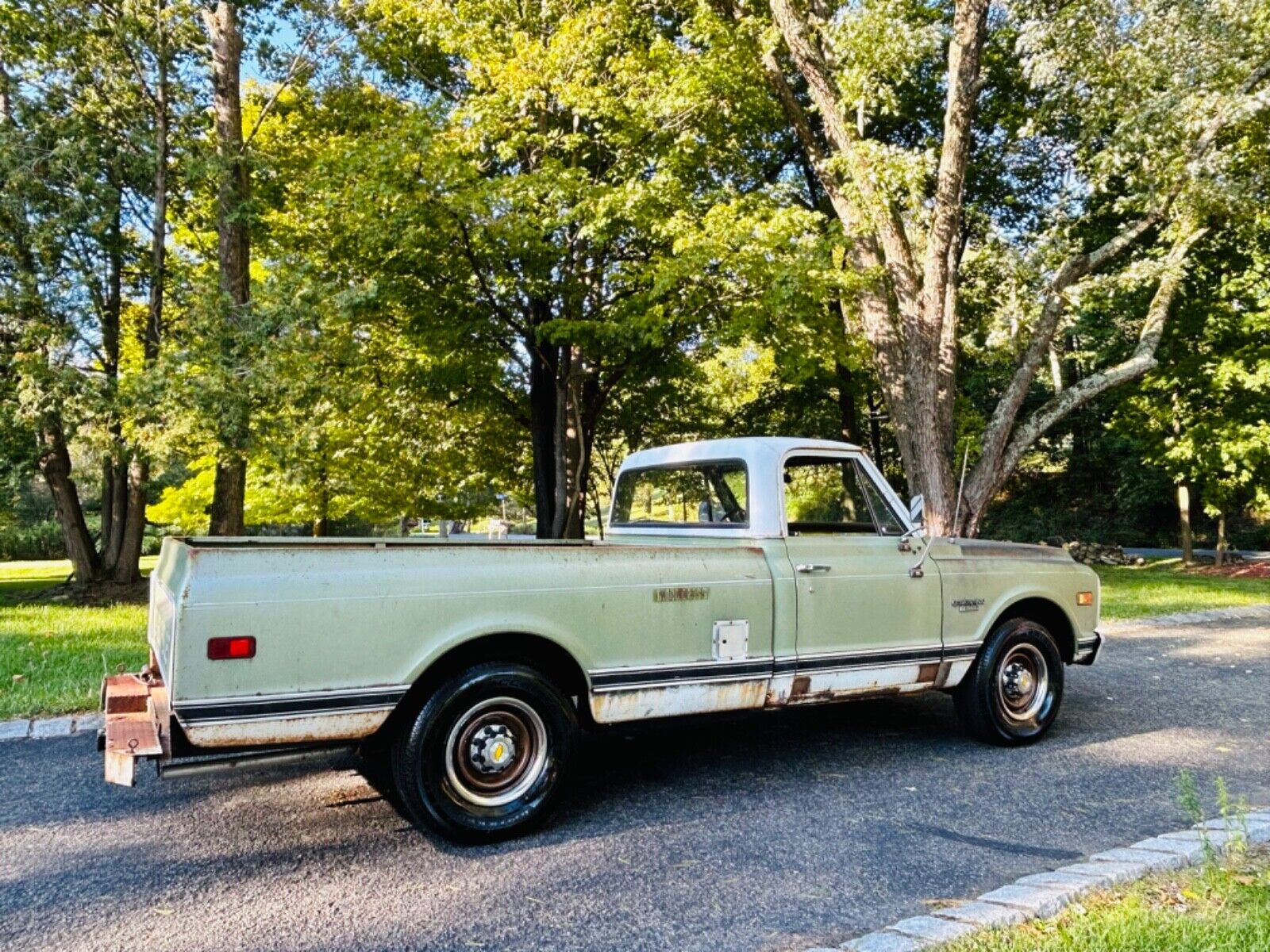 Chevrolet-C-10-1969-21