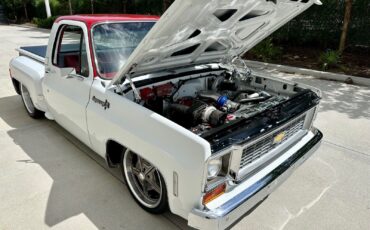 Chevrolet-C-10-1973-12