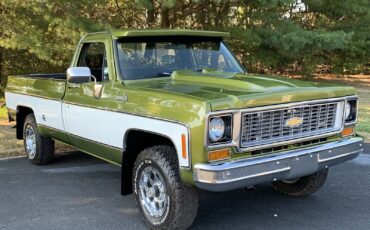 Chevrolet C-10  year1}