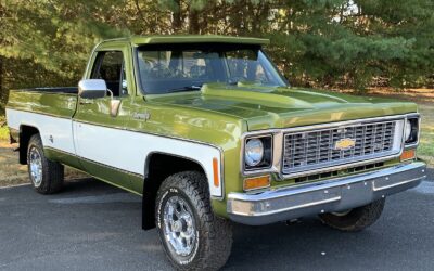 Chevrolet C-10 1973 à vendre