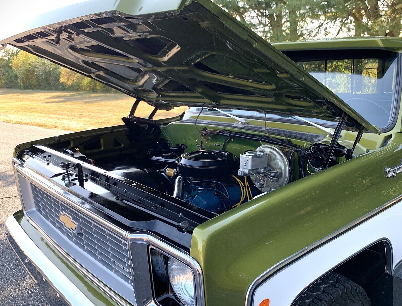 Chevrolet-C-10-1973-14