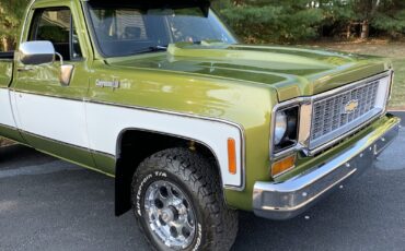 Chevrolet-C-10-1973-16