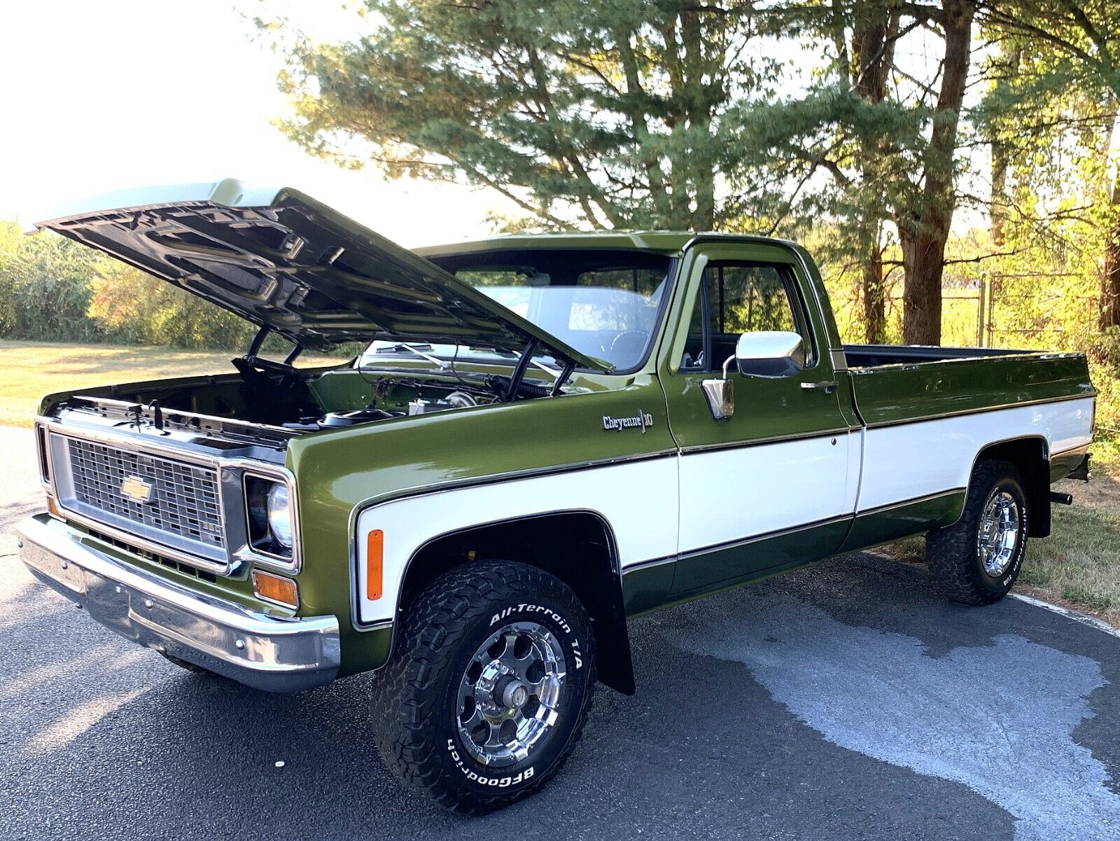 Chevrolet-C-10-1973-18