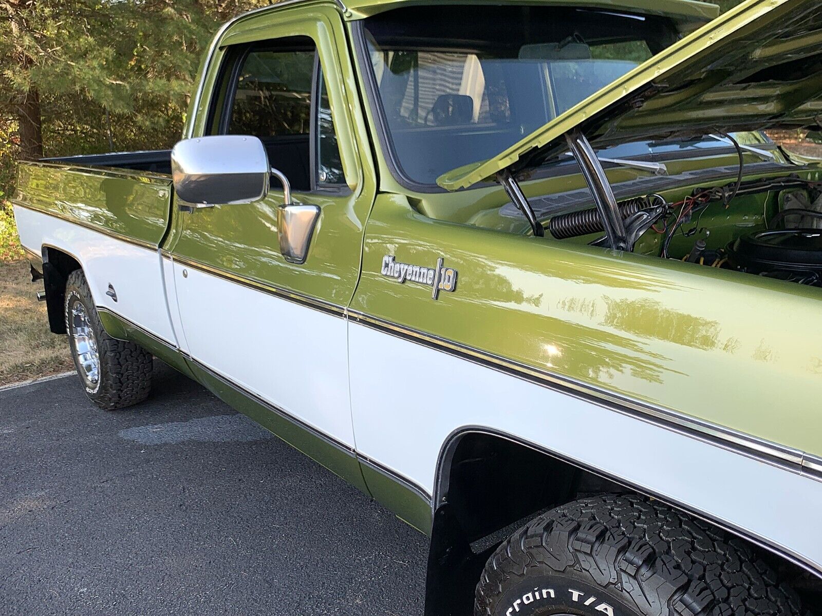 Chevrolet-C-10-1973-19