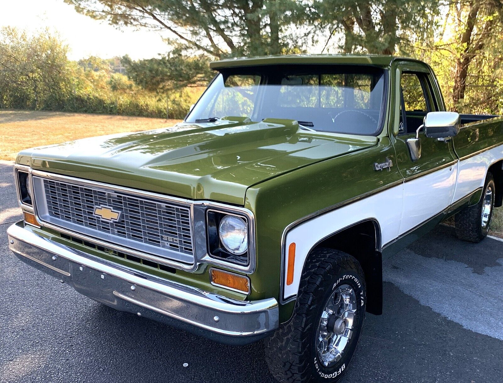 Chevrolet-C-10-1973-31