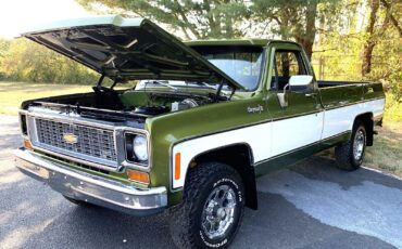 Chevrolet-C-10-1973-4