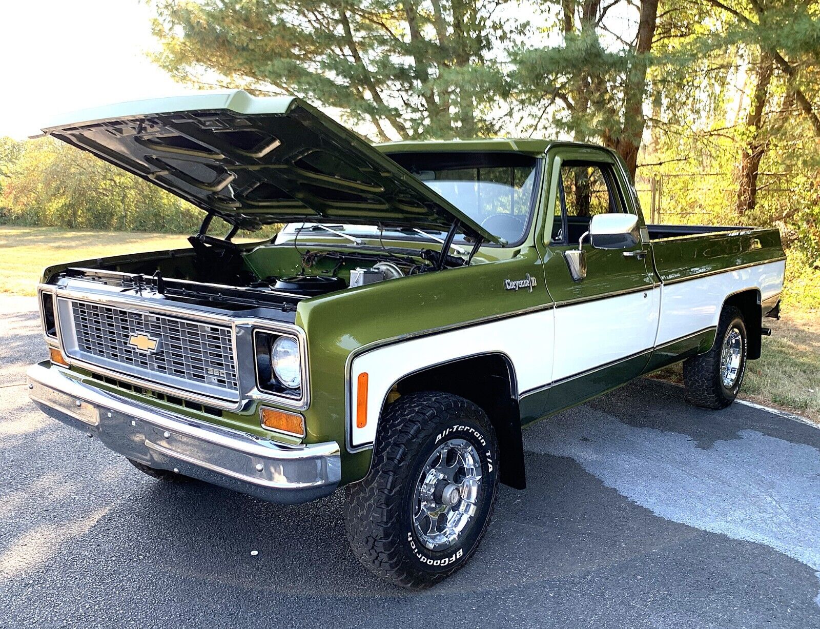 Chevrolet-C-10-1973-4