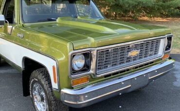 Chevrolet-C-10-1973-6