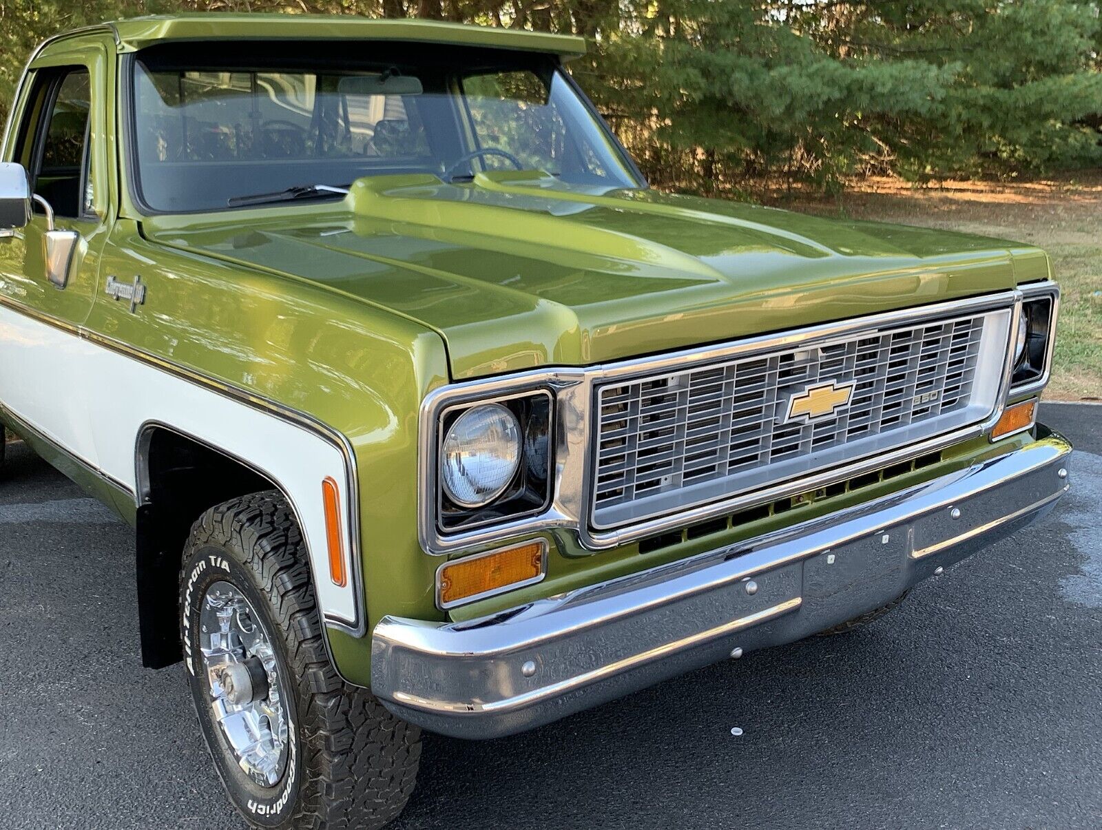 Chevrolet-C-10-1973-6