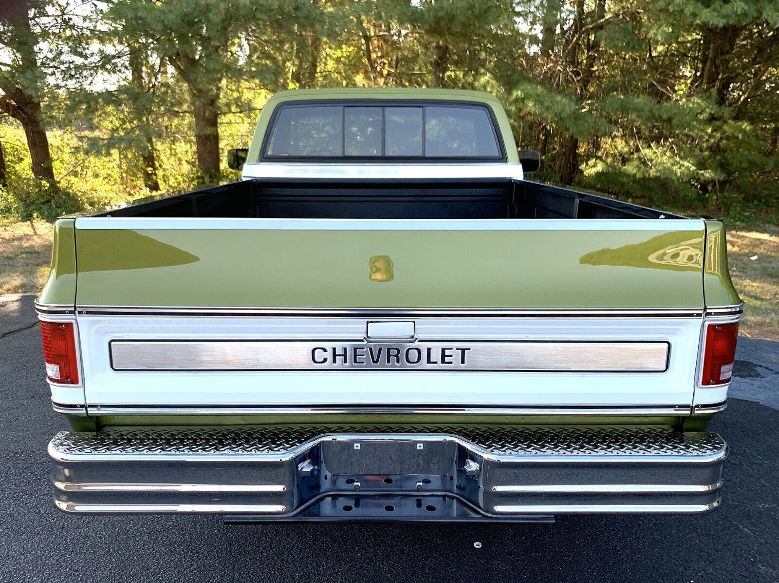 Chevrolet-C-10-1973-9