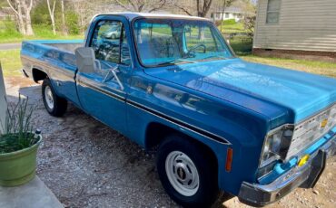 Chevrolet-C-10-1977-1