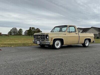 Chevrolet-C-10-1977-1