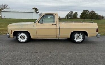 Chevrolet-C-10-1977-2