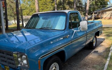 Chevrolet-C-10-1977-3