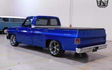 Chevrolet-C-10-1977-3