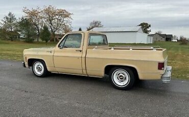 Chevrolet-C-10-1977-3