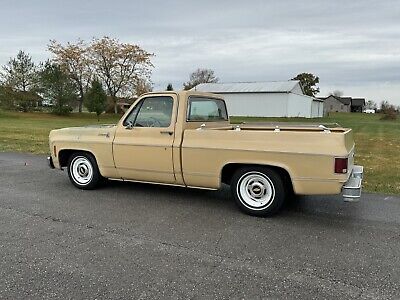 Chevrolet-C-10-1977-3