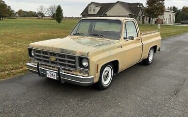 Chevrolet C-10  1977