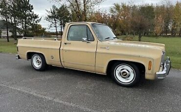 Chevrolet-C-10-1977-4