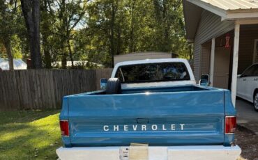 Chevrolet-C-10-1977-5