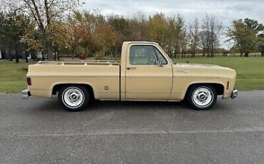 Chevrolet-C-10-1977-5