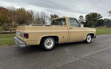 Chevrolet-C-10-1977-6