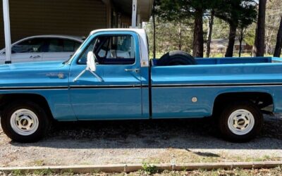 Chevrolet C-10  1977 à vendre