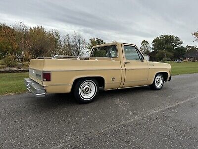 Chevrolet-C-10-1977-6