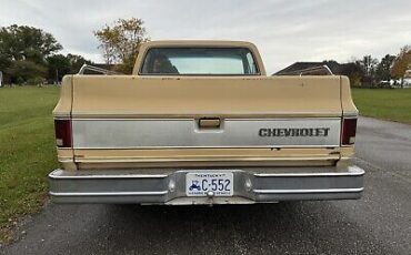 Chevrolet-C-10-1977-7