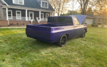 Chevrolet-C-10-1978-29