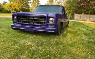 Chevrolet C-10  1978 à vendre