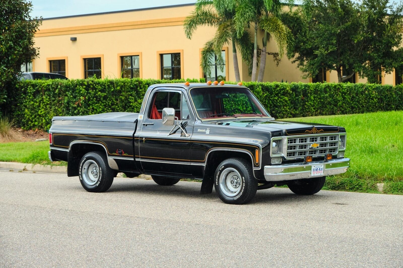 Chevrolet-C-10-1978-8