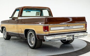 Chevrolet-C-10-1980-4