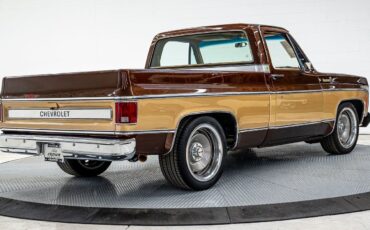 Chevrolet-C-10-1980-6