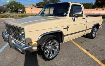 Chevrolet C-10  1982 à vendre