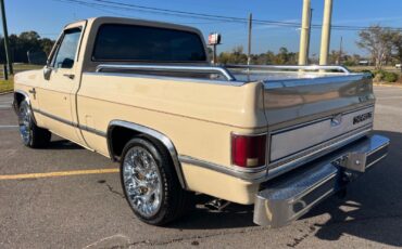 Chevrolet-C-10-1982-6