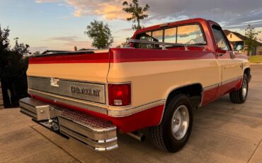 Chevrolet-C-10-1984-2